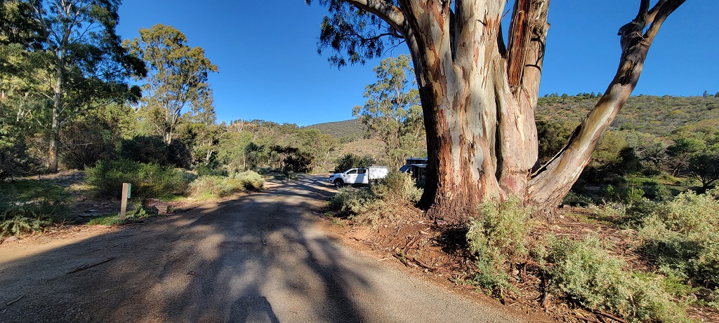 Mambray Creek Campground in Mount Remarkable National Park
