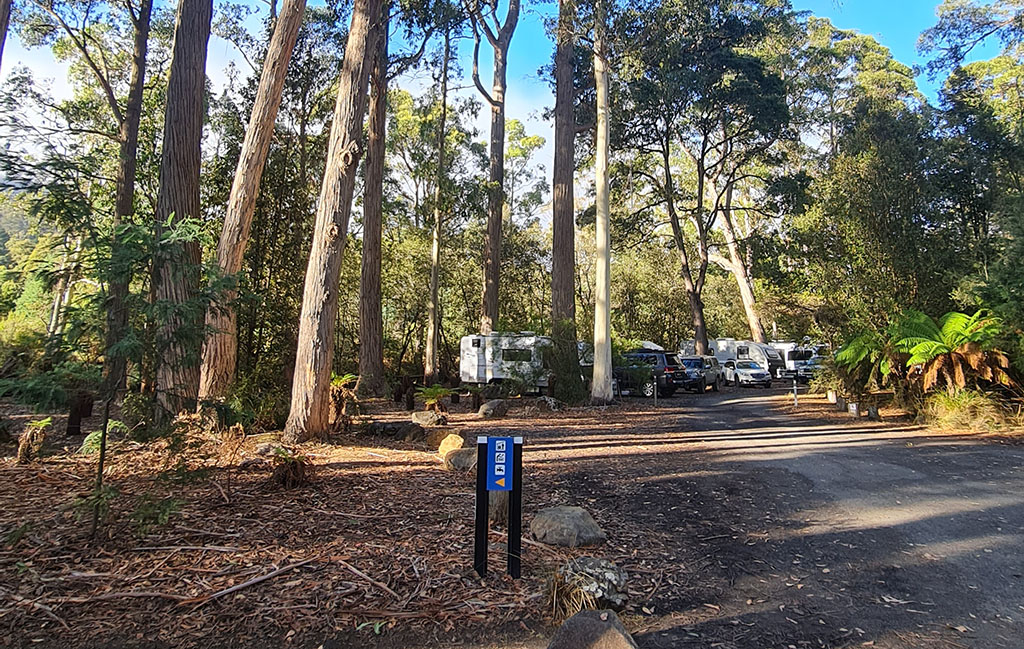 Mount Field National Park Campground