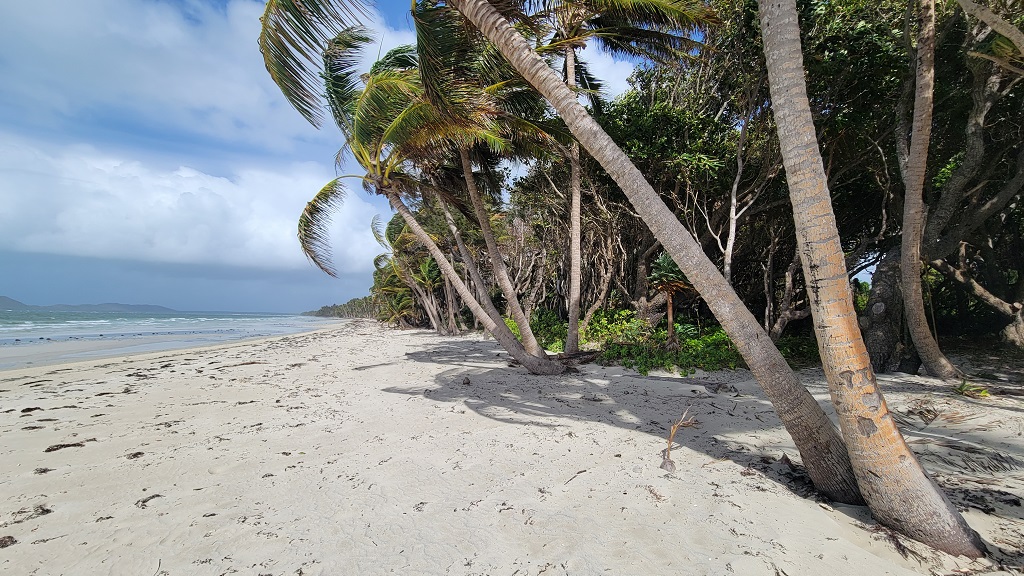 Chilli Beach