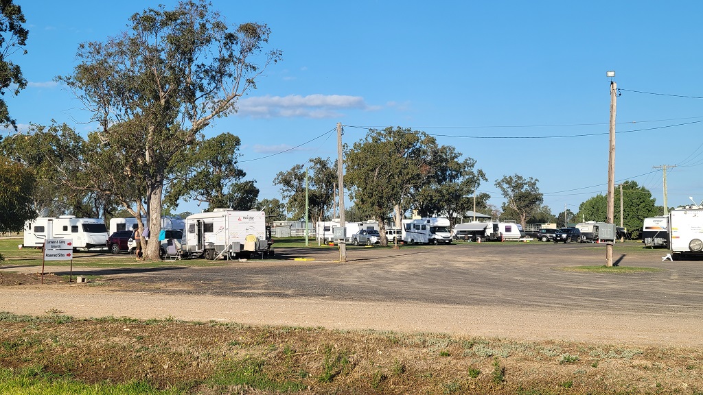 Powered section at Goondiwindi Showgrounds
