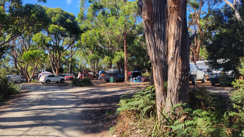 Jetty Beach Campground