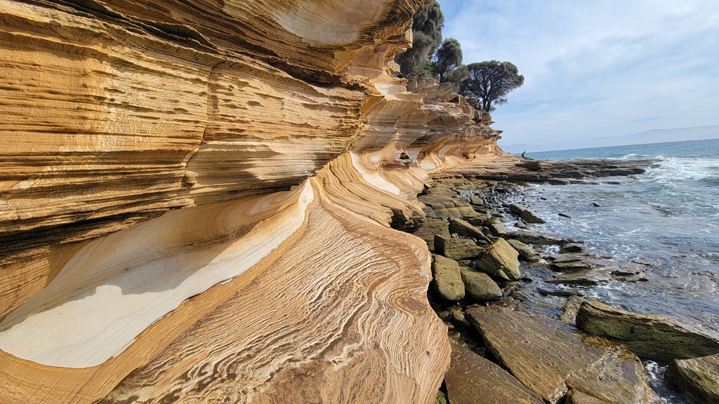 Close-up of the Painted Cliffs on Maria Island, Tasmania, showing the intricate swirling patterns and honeycomb weathering of the iron-stained sandstone.